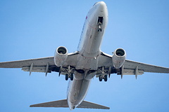 Названа причина экстренной посадки пассажирского Boeing в Пулково