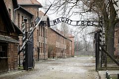 Посетившую Польшу туристку оштрафовали за нацистское приветствие у Освенцима