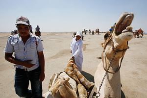 Туристам в Египте предложат новый необычный вид экскурсий