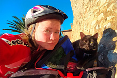 Женщина сшила сумку коту для совместных путешествий и стала звездой в сети